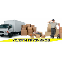 Грузчики31