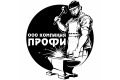 ООО Компания ПРОФИ